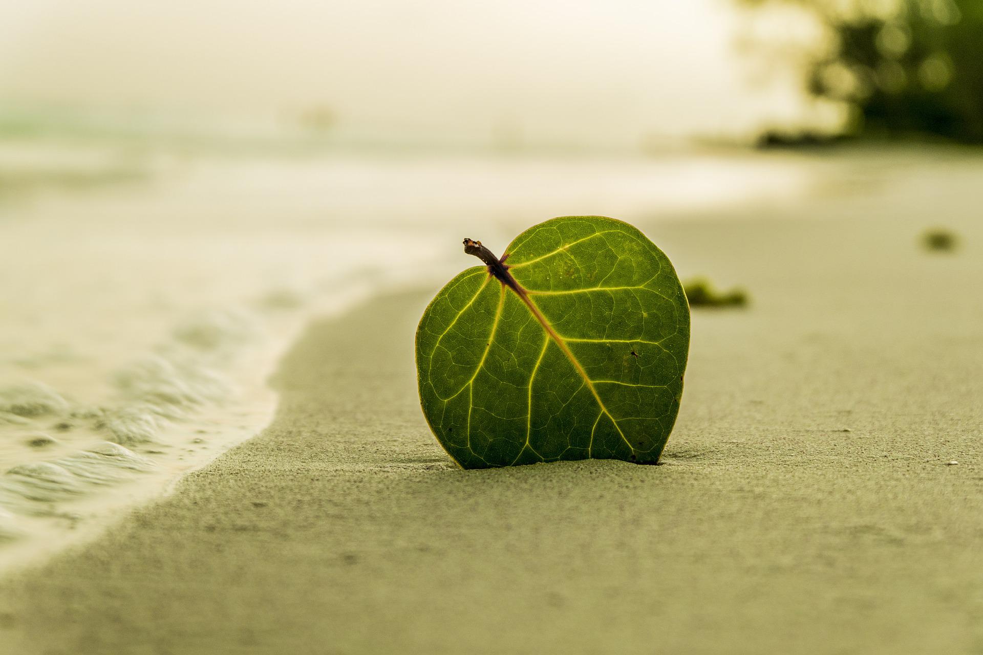 机房建设步骤(经侦联络站建设方案怎么写)